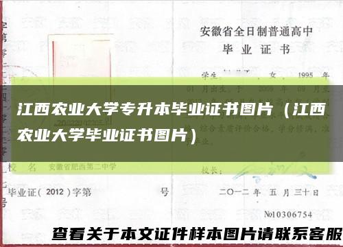 江西农业大学专升本毕业证书图片（江西农业大学毕业证书图片）缩略图