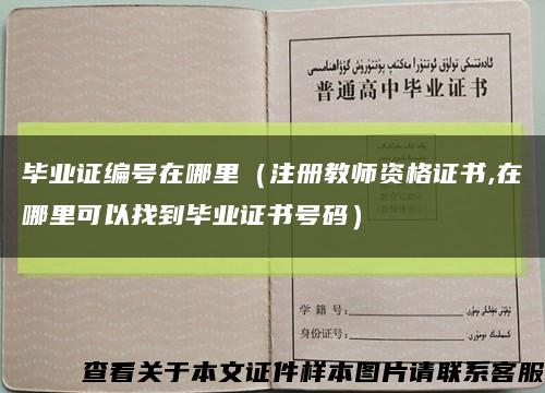 毕业证编号在哪里（注册教师资格证书,在哪里可以找到毕业证书号码）缩略图