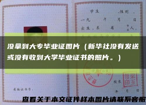 没拿到大专毕业证图片（新华社没有发送或没有收到大学毕业证书的照片。）缩略图