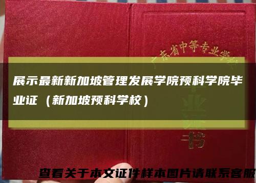 展示最新新加坡管理发展学院预科学院毕业证（新加坡预科学校）缩略图