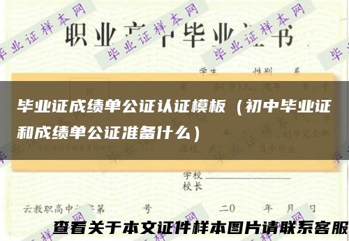 毕业证成绩单公证认证模板（初中毕业证和成绩单公证准备什么）缩略图