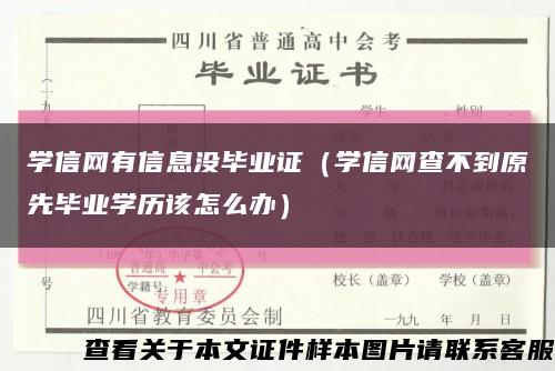 学信网有信息没毕业证（学信网查不到原先毕业学历该怎么办）缩略图