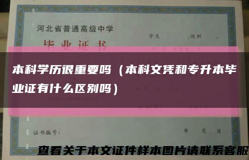 本科学历很重要吗（本科文凭和专升本毕业证有什么区别吗）缩略图