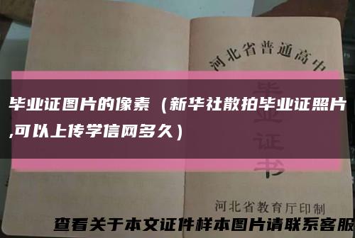 毕业证图片的像素（新华社散拍毕业证照片,可以上传学信网多久）缩略图