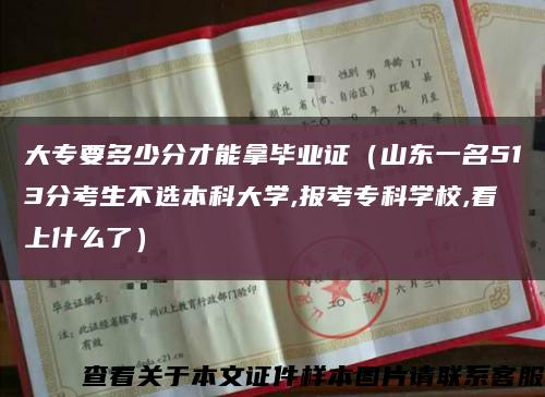 大专要多少分才能拿毕业证（山东一名513分考生不选本科大学,报考专科学校,看上什么了）缩略图