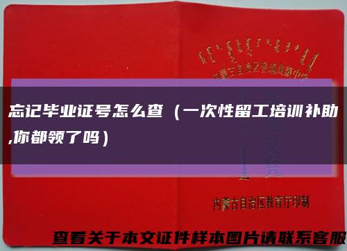 忘记毕业证号怎么查（一次性留工培训补助,你都领了吗）缩略图