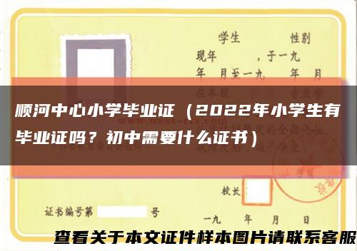 顺河中心小学毕业证（2022年小学生有毕业证吗？初中需要什么证书）缩略图