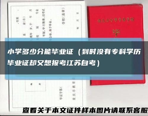 小学多少分能毕业证（到时没有专科学历毕业证却又想报考江苏自考）缩略图