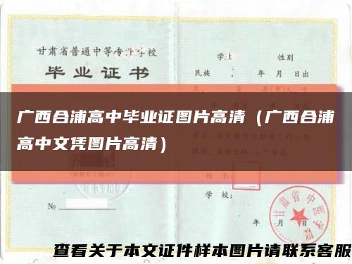 广西合浦高中毕业证图片高清（广西合浦高中文凭图片高清）缩略图