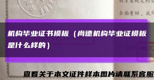 机构毕业证书模板（尚德机构毕业证模板是什么样的）缩略图