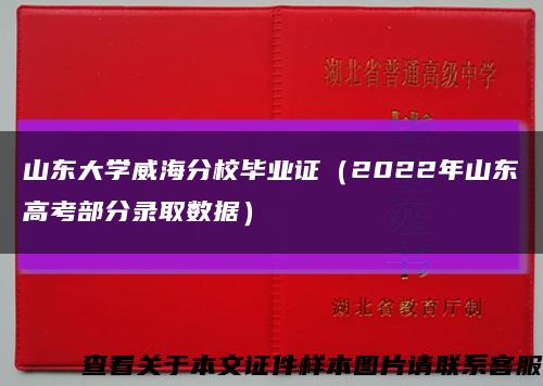 山东大学威海分校毕业证（2022年山东高考部分录取数据）缩略图