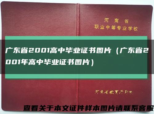 广东省2001高中毕业证书图片（广东省2001年高中毕业证书图片）缩略图