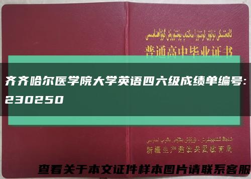 齐齐哈尔医学院大学英语四六级成绩单编号:230250缩略图