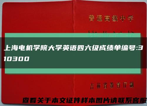 上海电机学院大学英语四六级成绩单编号:310300缩略图