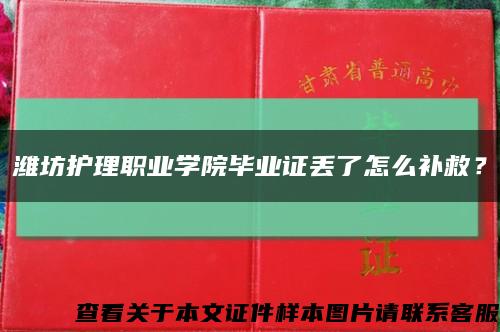 潍坊护理职业学院毕业证丢了怎么补救？缩略图