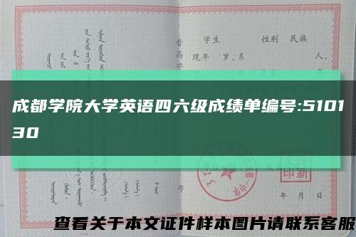 成都学院大学英语四六级成绩单编号:510130缩略图