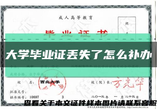 大学毕业证丢失了怎么补办缩略图