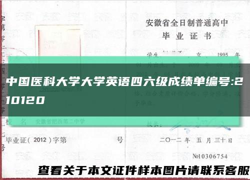 中国医科大学大学英语四六级成绩单编号:210120缩略图