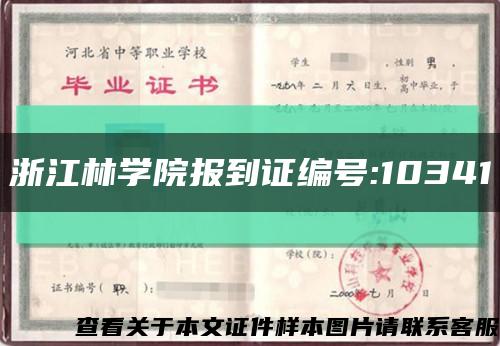 浙江林学院报到证编号:10341缩略图