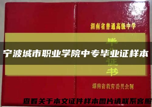 宁波城市职业学院中专毕业证样本缩略图