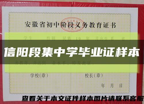 信阳段集中学毕业证样本缩略图