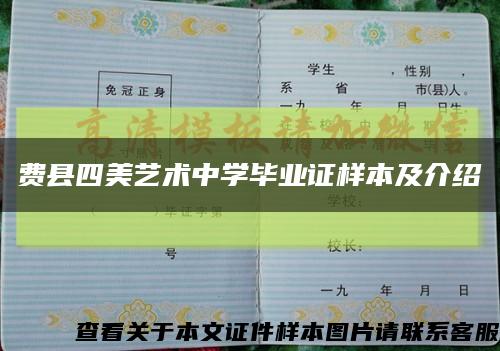 费县四美艺术中学毕业证样本及介绍缩略图