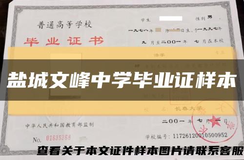 盐城文峰中学毕业证样本缩略图