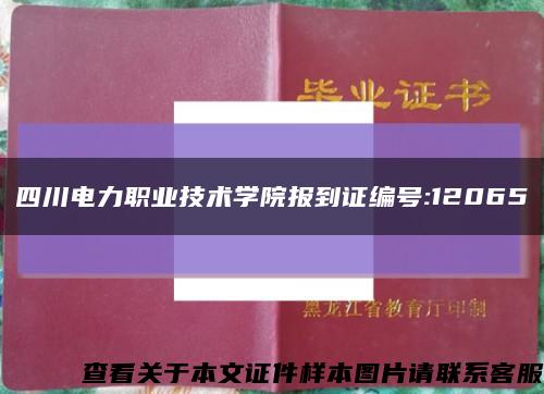 四川电力职业技术学院报到证编号:12065缩略图