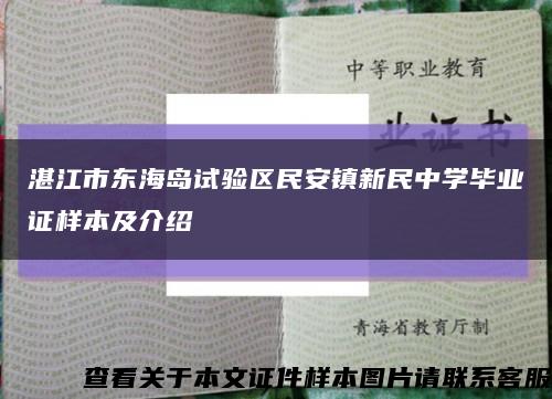 湛江市东海岛试验区民安镇新民中学毕业证样本及介绍缩略图