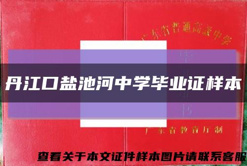 丹江口盐池河中学毕业证样本缩略图