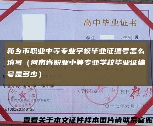 新乡市职业中等专业学校毕业证编号怎么填写（河南省职业中等专业学校毕业证编号是多少）缩略图