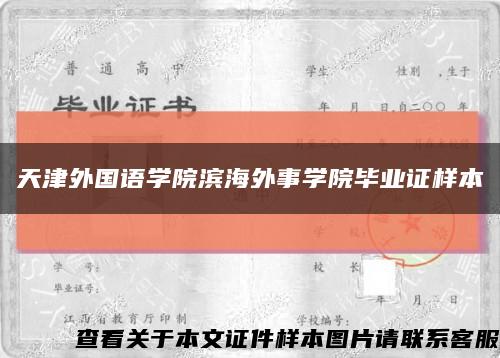 天津外国语学院滨海外事学院毕业证样本缩略图