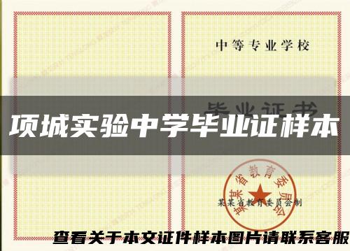 项城实验中学毕业证样本缩略图