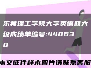 东莞理工学院大学英语四六级成绩单编号:440630缩略图