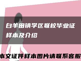 白羊田镇学区联校毕业证样本及介绍缩略图