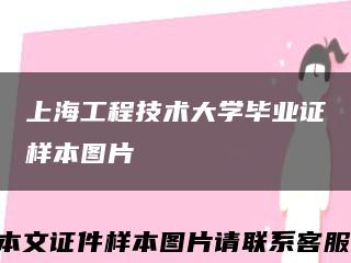 上海工程技术大学毕业证样本图片缩略图