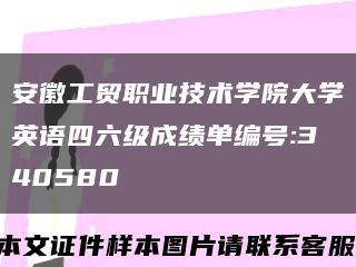 安徽工贸职业技术学院大学英语四六级成绩单编号:340580缩略图