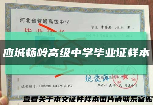 应城杨岭高级中学毕业证样本缩略图