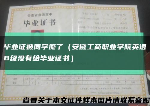 毕业证被同学撕了（安徽工商职业学院英语B级没有给毕业证书）缩略图