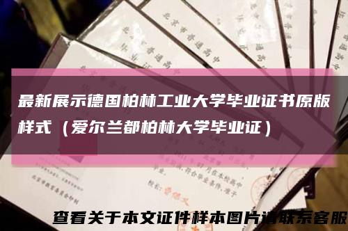 最新展示德国柏林工业大学毕业证书原版样式（爱尔兰都柏林大学毕业证）缩略图