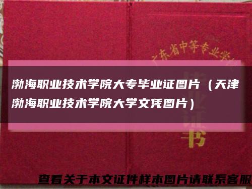 渤海职业技术学院大专毕业证图片（天津渤海职业技术学院大学文凭图片）缩略图