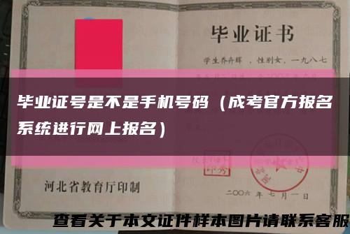 毕业证号是不是手机号码（成考官方报名系统进行网上报名）缩略图