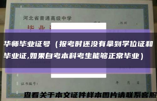 华师毕业证号（报考时还没有拿到学位证和毕业证,如果自考本科考生能够正常毕业）缩略图