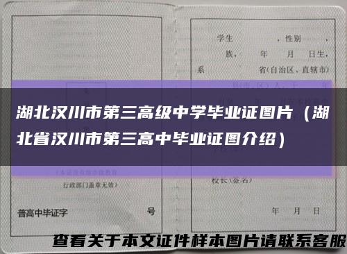 湖北汉川市第三高级中学毕业证图片（湖北省汉川市第三高中毕业证图介绍）缩略图