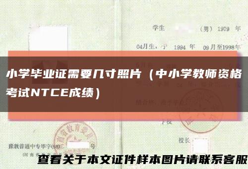 小学毕业证需要几寸照片（中小学教师资格考试NTCE成绩）缩略图