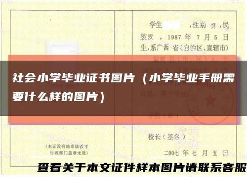 社会小学毕业证书图片（小学毕业手册需要什么样的图片）缩略图