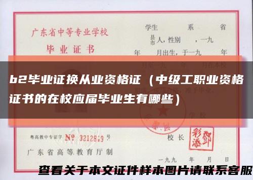 b2毕业证换从业资格证（中级工职业资格证书的在校应届毕业生有哪些）缩略图