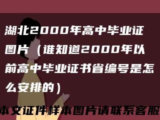 湖北2000年高中毕业证图片（谁知道2000年以前高中毕业证书省编号是怎么安排的）缩略图