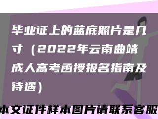 毕业证上的蓝底照片是几寸（2022年云南曲靖成人高考函授报名指南及待遇）缩略图