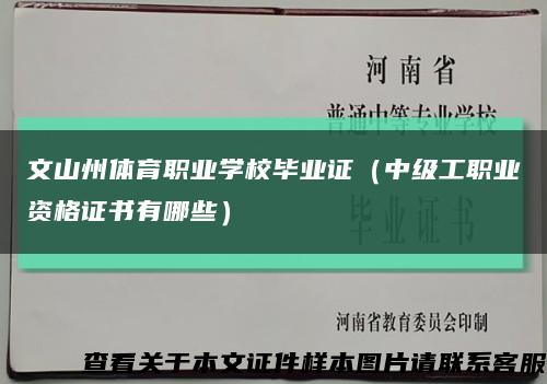 文山州体育职业学校毕业证（中级工职业资格证书有哪些）缩略图